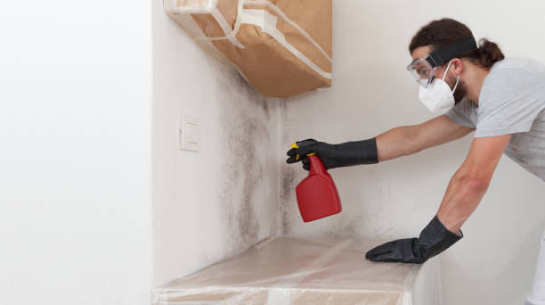 Professional Attic Mold Remediation technician working in Entriken, PA