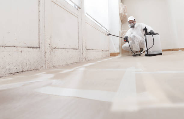 24/7 Emergency Attic Mold Remediation experts in Entriken, PA