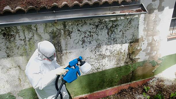 Top rated local Attic Mold Remediation specialists in Entriken, PA